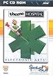 Theme Hospital