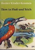Produkt-Bild: Tiere in Flu&szlig; und Teich. Bunter Kinder- Kosmos
