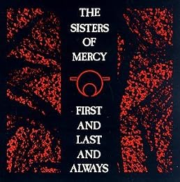 The Sisters of Mercy Picture 1