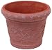 Tools & Hardware : Duraco Products, Inc. S1416TC Garden-Lite Planter-Strathmore