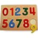 Numbers Raised Wooden Puzzle for Children