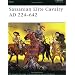 Sassanian Elite Cavalry AD 224-642