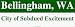 Bellingham, WA City of Subdued Excitement Large Bumper Sticker