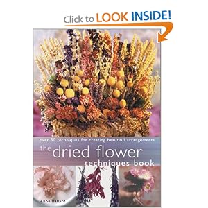 Dried Flower Techniques Book: Over 50 Techniques for Creating Beautiful Arrangements by Anne Ballard