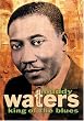 A Tribute to Muddy Waters - King of the Blues