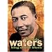 A Tribute to Muddy Waters - King of the Blues