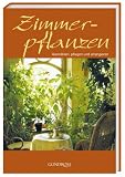 Zimmerpflanzen. Auswaehlen, pflegen und arrangieren