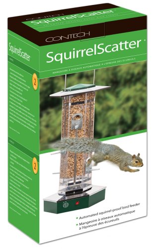 Childrens Toyshop  Tools & Hardware : Contech Squirrel Scatter