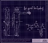 The Great Bertholinis – Gradual Unfolding Of A Conscious Mind