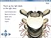 Interactive Human Body by Megasystems (ASIN:B00005M9F8)