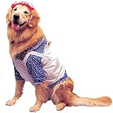 Pet Raggedy Ann Dog Costume For Small Dogs