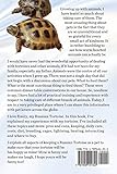 Russian Tortoises as Pets. Russian Tortoise: Facts and Information. Daily Care, Pro's and Cons, Cages, Costs, Diet, Breeding All Covered Russian Tortoises as Pets. Russian Tortoise: Facts and Information. Daily Care, Pro's and Cons, Cages, Costs, Diet, Breeding All Covered