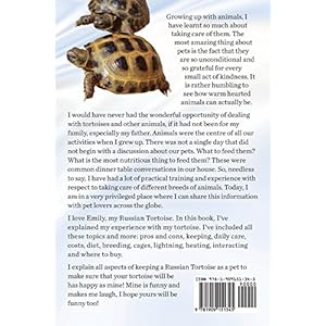 Russian Tortoises as Pets. Russian Tortoise: Facts and Information. Daily Care, Pro's and Cons, Cages, Costs, Diet, Breeding All Covered