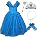 2015 New Cinderella Butterfly Party Dress Costume with Accessories