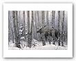 A Walk In The Woods by Stephen Lyman 8"x12" Art Print Poster