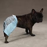 East Side Collection Fashion Zebra Shorts Dog Clothes Medium Fathers Day Idea