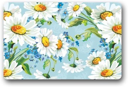 Top Fabric &amp; Non-Slip Rubber Indoor/Outdoor Doormat Door Mats - Vintage Daisy Flower Art Pattern Floor Mat Rug for Home/Office/Bedroom