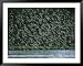A flock of western sandpipers in flight over mudflats at high tide Framed Art Poster Print by Joel Sartore, 49x39