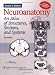 Neuroanatomy: An Atlas of Structures, Sections, and Systems, North American Edition (Point (Lippincott Williams & Wilkins))