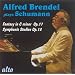 Alfred Brendel joue Schumann