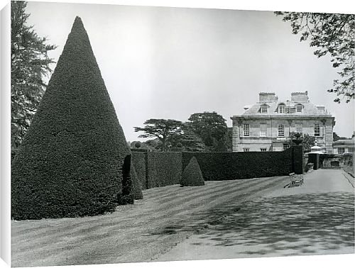 Canvas Prints of Antony from Country Life 