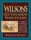 Wilson's Old Testament Word Studies