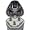 Philips Norelco 6423LC Reflex Plus Corded Men's Shaving System