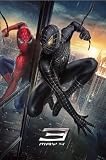 Spiderman 3 - Movie Poster: Full - Mirror (Size: 24'' x 36'')