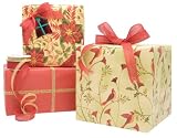 Gift Wrap Company Naturally Holiday Gift Wrap, Tags And Ribbon Assortment Kit