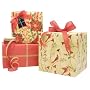 Gift Wrap Company Naturally Holiday Gift Wrap, Tags And Ribbon Assortment Kit
