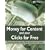 Money for Content and Your Clicks for Free: A Guide to Making Money on the Web
