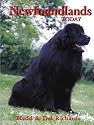 Newfoundland Today (Book of the Breed S)