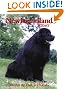 Newfoundlands Today