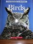 Birds Usborne Discovery Internet-Linked