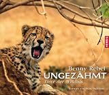 cover of Ungezähmt. Tiere der Wildnis / Vorwort von Heinz Sielmann