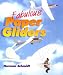 Books : Fabulous Paper Gliders