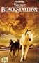 Young Black Stallion [VHS]