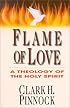 Flame of Love: A Theology of the Holy Spirit
