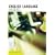 Revision Express English Language (A  Level Revise Guides)