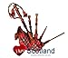 Bagpipe Miniature Playable Bagpipe & Reed Royal Stewart Tartan