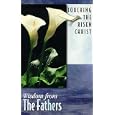 Touching the Risen Christ: Wisdom from the Fathers (Wisdom) by Patricia Mitchell