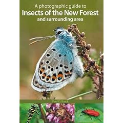 A Photographic Guide to Insects of the New Forest and Surrounding Area