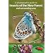 A Photographic Guide to Insects of the New Forest and Surrounding Area