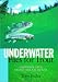 Book Underwater Flies for Trout