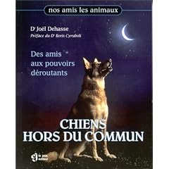 Chiens hors du commun