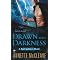New Series For 2009 Urban Fantasy and Paranormal Romance (jul-dec)