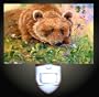 Bear and Dragonfly Decorative Night Light