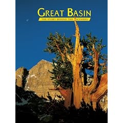 Great Basin: The Story Behind the Scenery
