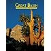 Great Basin: The Story Behind the Scenery