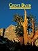 Great Basin: The Story Behind the Scenery